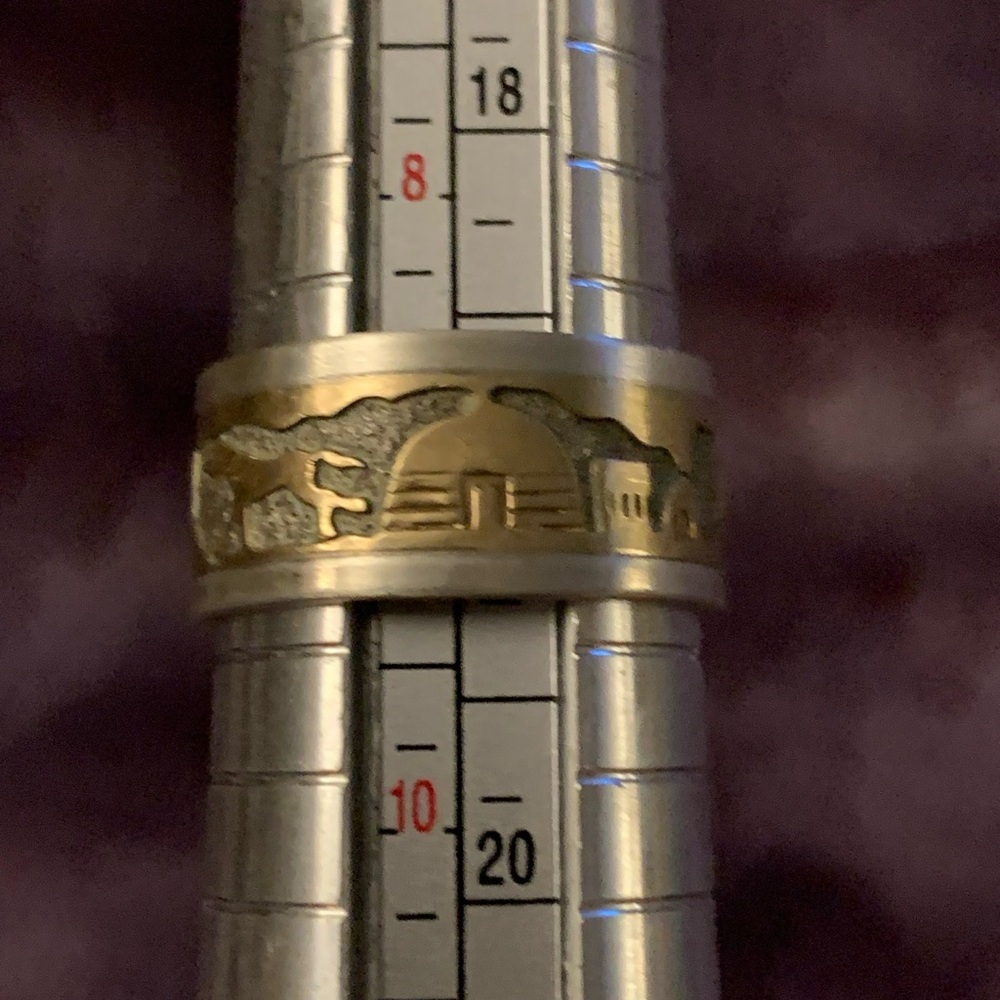 Navajo Unisex Sterling & 1/20 12K GF "Storyteller" Band Ring